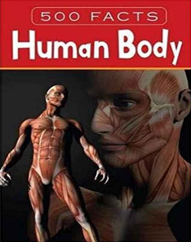 500 facts - human body