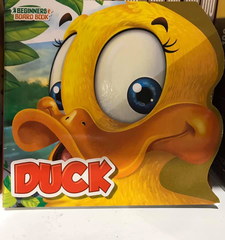 beginners board book - duck