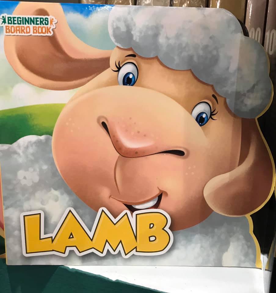 beginners board book - lamb