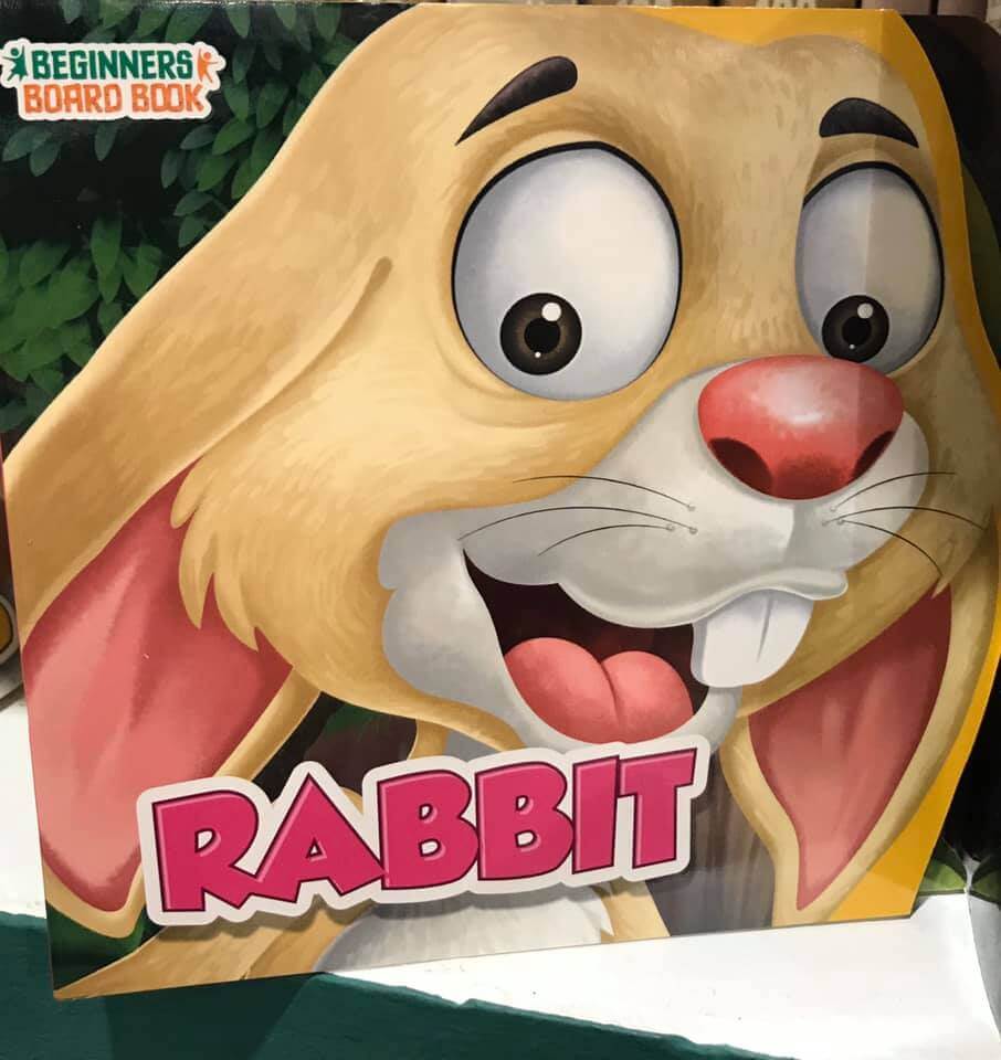 beginners board book - rabbit