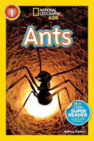 national kids - ants