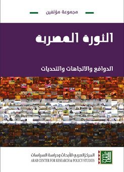 هل أخطأت الثورة المصرية